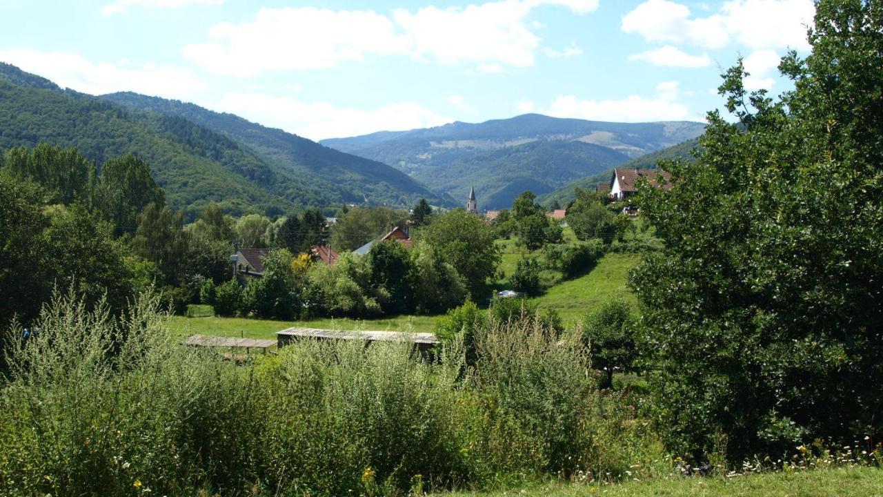 Gite Du Durrenbach Lautenbach Buitenkant foto