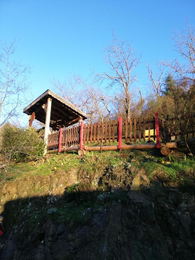 Gite Du Durrenbach Lautenbach Buitenkant foto